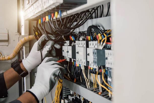 Best Electric Panel Repair  in Saint Johns University, MN